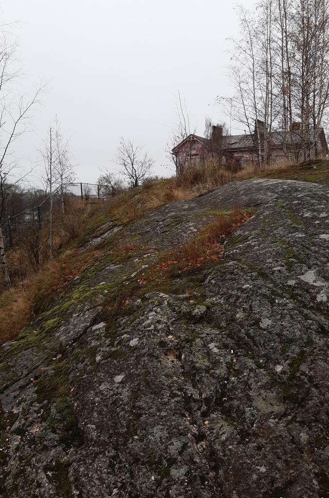 Linnunlauluntie. Kaksi poikaa (Aapo Rista ja Tuomas Heikkilä) tutkimassa keväistä luontoa Linnunlaulun kallioilla radan varressa. Näkymä radan ylittävän sillan kupeesta kaakkoon. Oikealla kallion laella Linnunlauluntie 12:n talo. rephoto