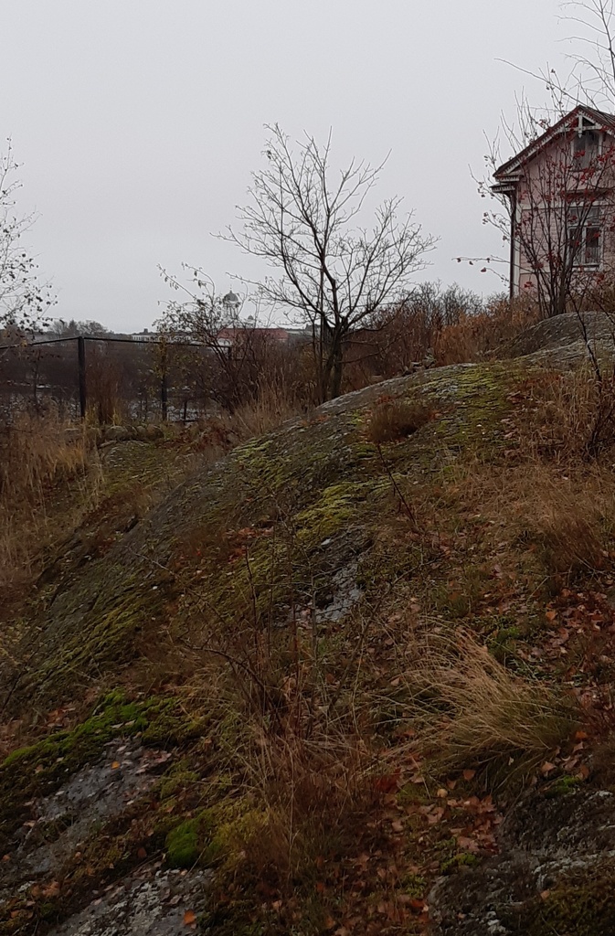 Linnunlauluntie. Kaksi poikaa (Aapo Rista ja Tuomas Heikkilä) tutkimassa keväistä luontoa Linnunlaulun kallioilla radan varressa. Näkymä radan ylittävän sillan kupeesta kaakkoon. Oikealla kallion laella Linnunlauluntie 12:n talon pääty. Taustalla horisontissa Tuomiokirkon torni. rephoto