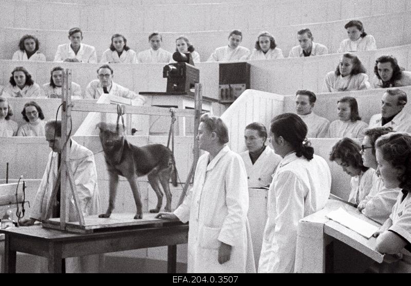 Professor of Medical Sciences at the University of Tartu, Dr. e. Käer-Kingissepp, attends the lecture.