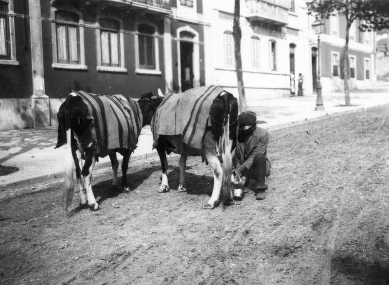O leite perigoso 1910 Photo Joshua Benoliel 1 - lang
