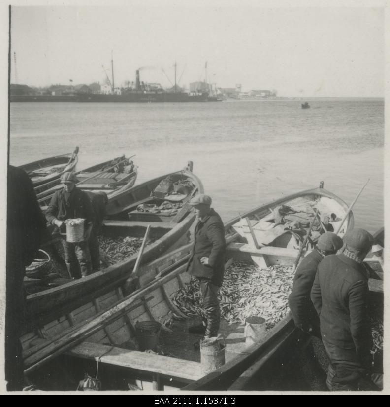 Roaming boats in Pärnu port
