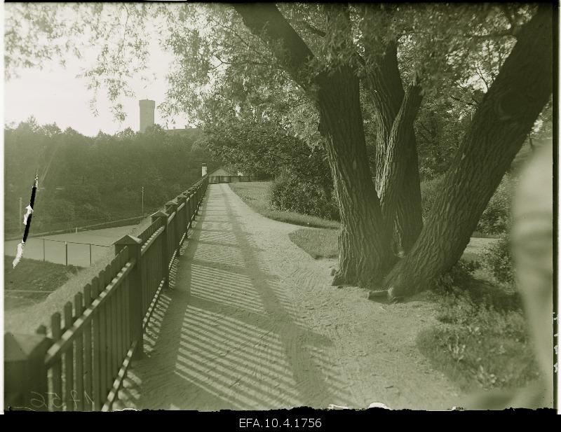 View from Harjumägi to Toompea.