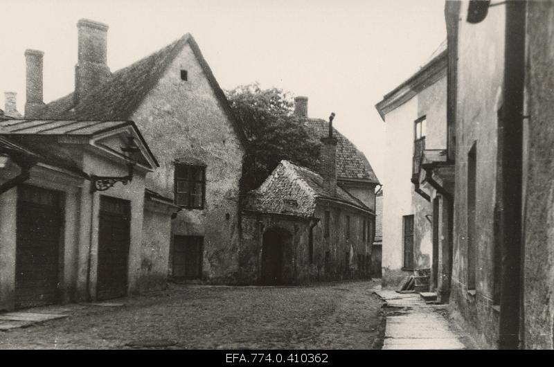 View Linnuse Street, left in the middle of Linnuse 3.