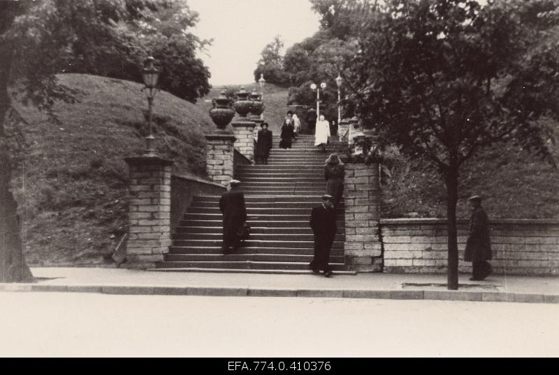View Mayer's stairs.