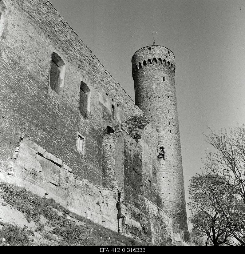 Views on Toompea and Pikku Hermann.