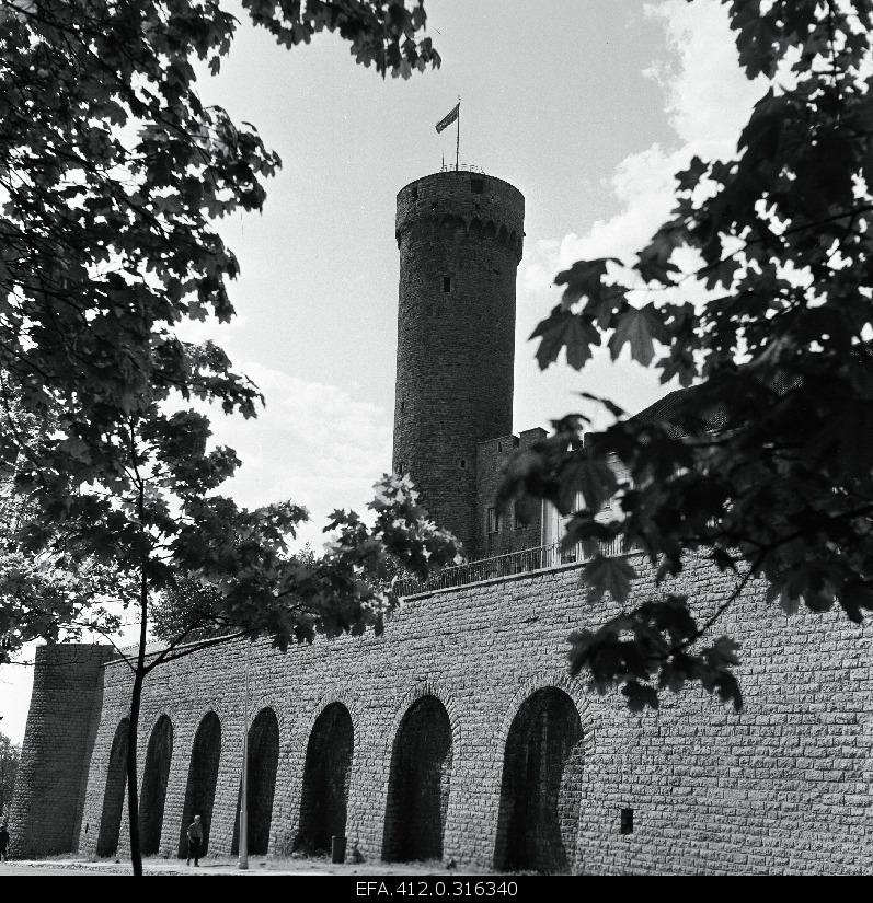 View of Pike Hermann.