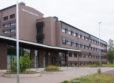 Printing card, Viljandi, Palanga, Internate School (Paalalinna Gymnasium) rephoto