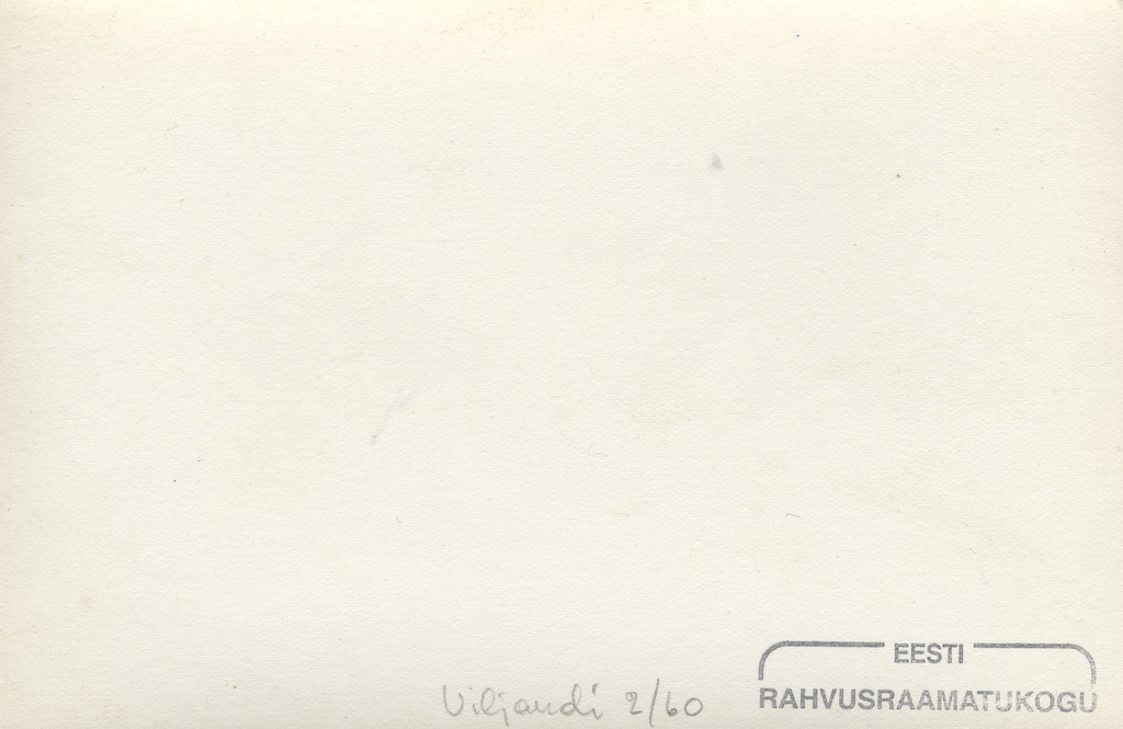 Viljandi Valuoja