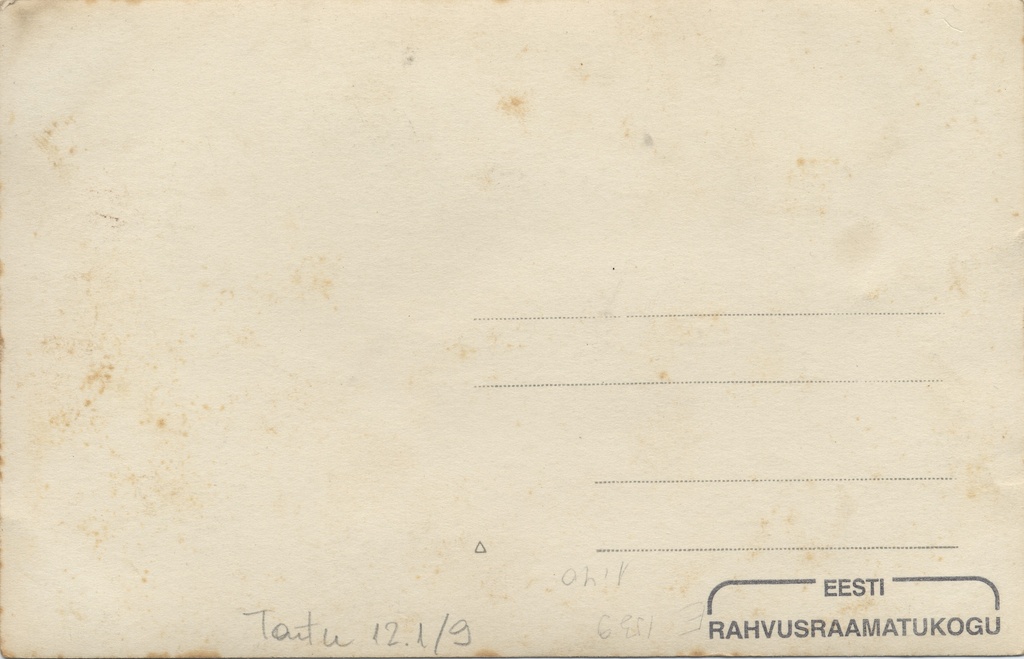 [Baer's earring in Tartu]