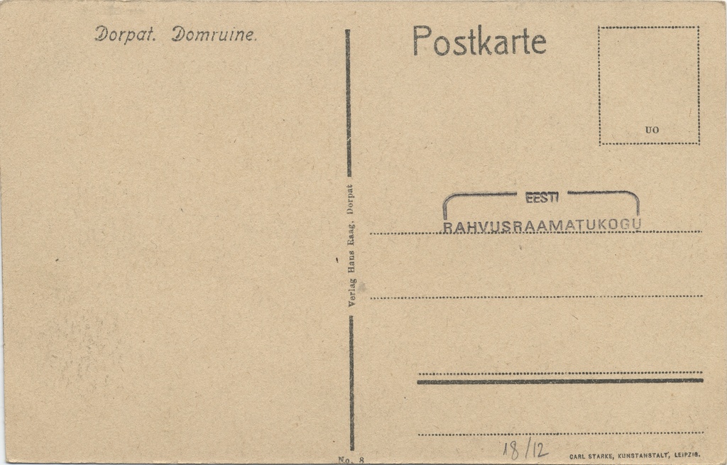 Dorpat : Domruine