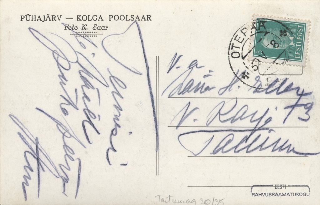 Pühajärv : Kolga peninsula