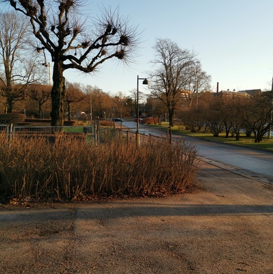Kioski Eläintarhan puistoalueella (Töölönlahden pohjoispuolella). rephoto