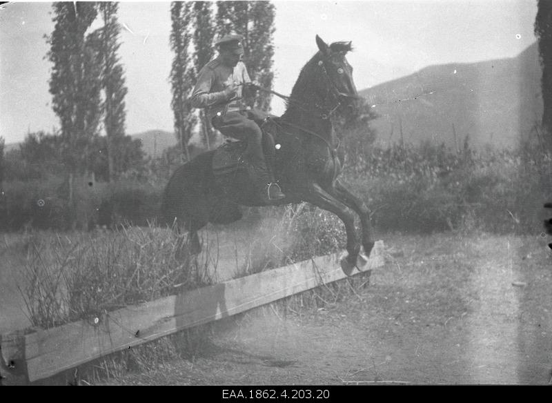 Man with horse jumping over the barrier