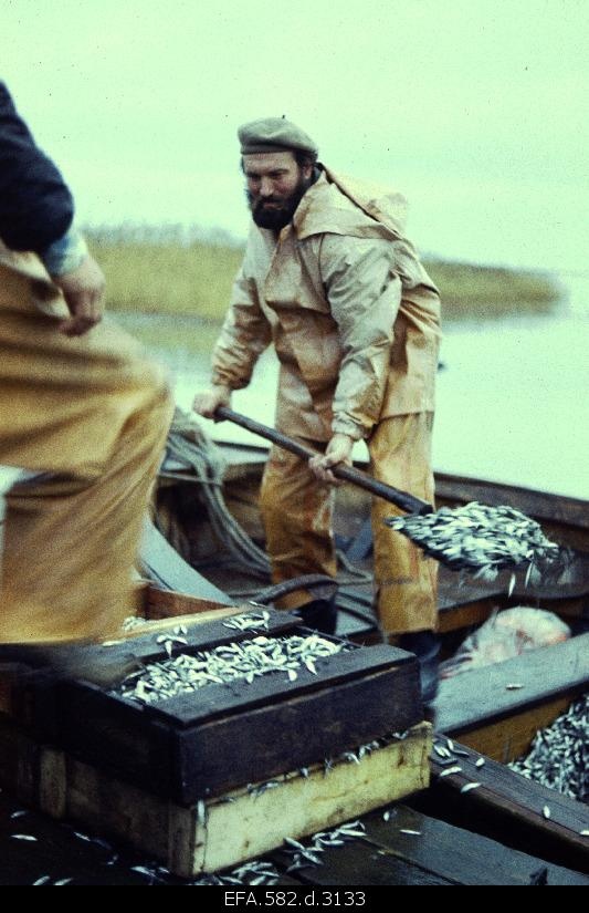 Fisherman fish t?stmas.
