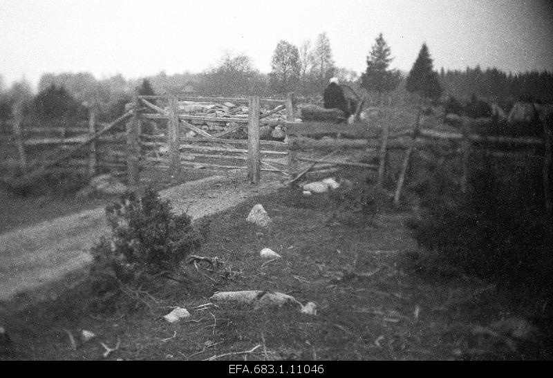 Farmland border gardens on the way to Kavandi-Leisi.