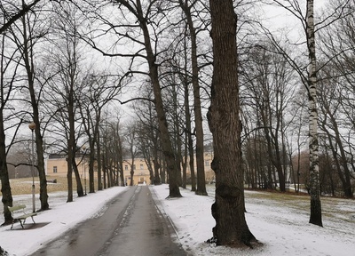 Lapinlahden sairaala. Kuva on otettu sairaalalle johtavalta, puiden reunustamalta tieltä. Maassa on lunta. Kuvan oikeassa laidassa näkyy ns. Omenapuutalo, joka rakennettiin 1913 asuinkäyttöön. N. 1913-1922. rephoto