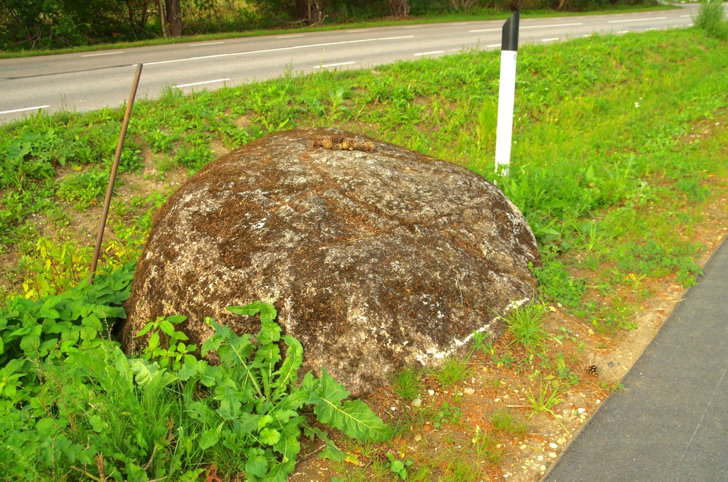 Kultusekivi,Järveküla-Jüri tee - Kultusekivi, Assaku