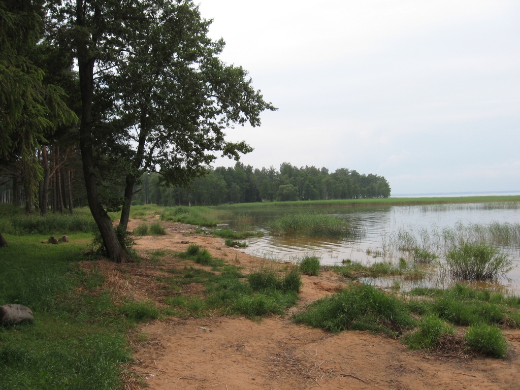 Trepimae - Võrtsjärv Trepimäel