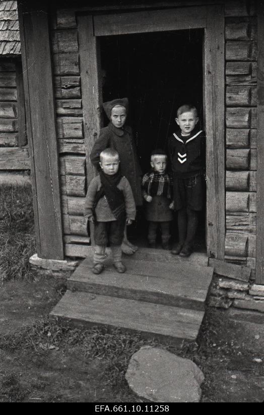 Talulapsed Märjamaa lähedalt.