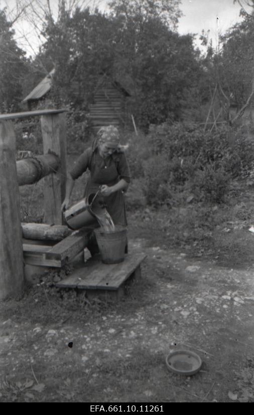 Taluperenaine kaevul Märjamaa lähedal talus.