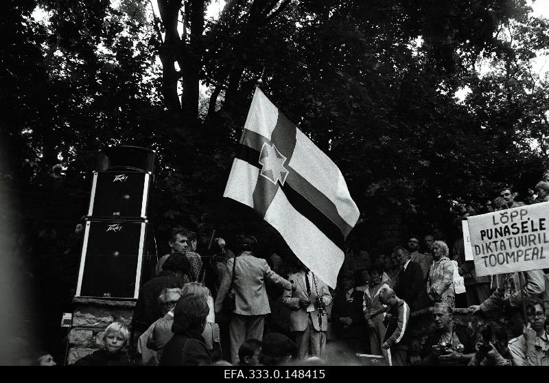 On the 51st anniversary of the Molotov-Ribbentrop Pact, organized by the Estonian National Independence Party, protests in the Hirve Park.