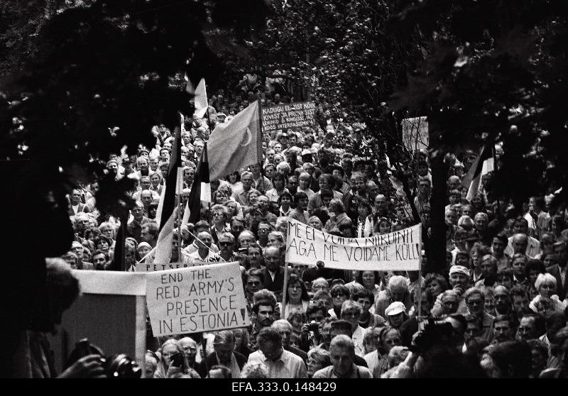 Organised meeting of the Estonian National Independence Party in Hirvepark on the 51st anniversary of the Molotov-Ribbentrop Pact.