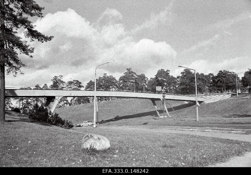 Construction of the road for pedestrians on the Mustamäe hill.