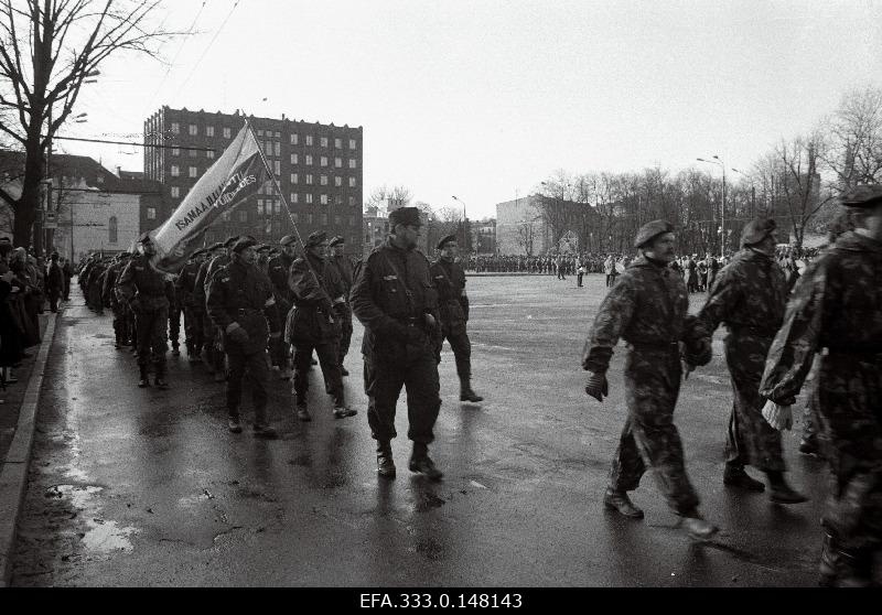 View of the Freedom Square during the 74th anniversary of the Republic of Estonia's Defence Forces parade.