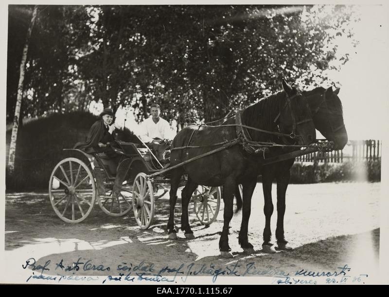 Two-hobuse vanker with drivers