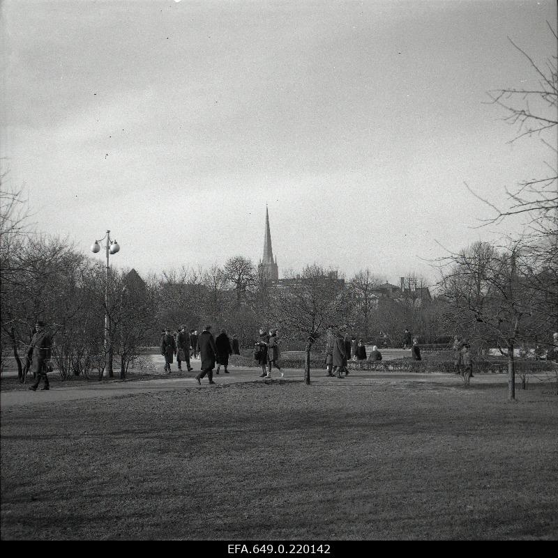 View from the Central Square (Viru Square) towards the church of Oleviste.