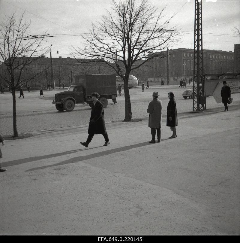 View Estonia puiesteele.