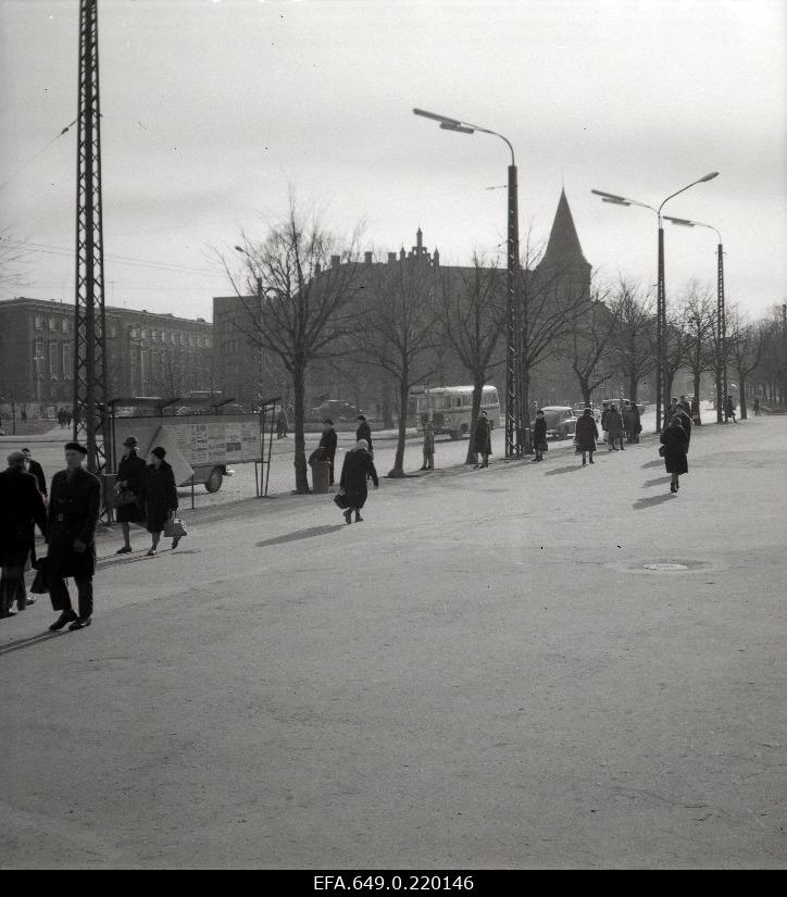 View Estonia puiesteele.