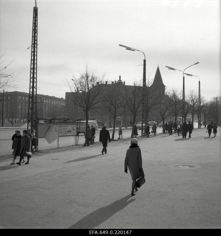 View Estonia puiesteele.