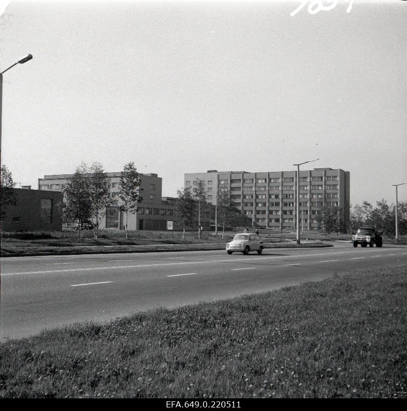 View of Pelgulinna's birthplace.