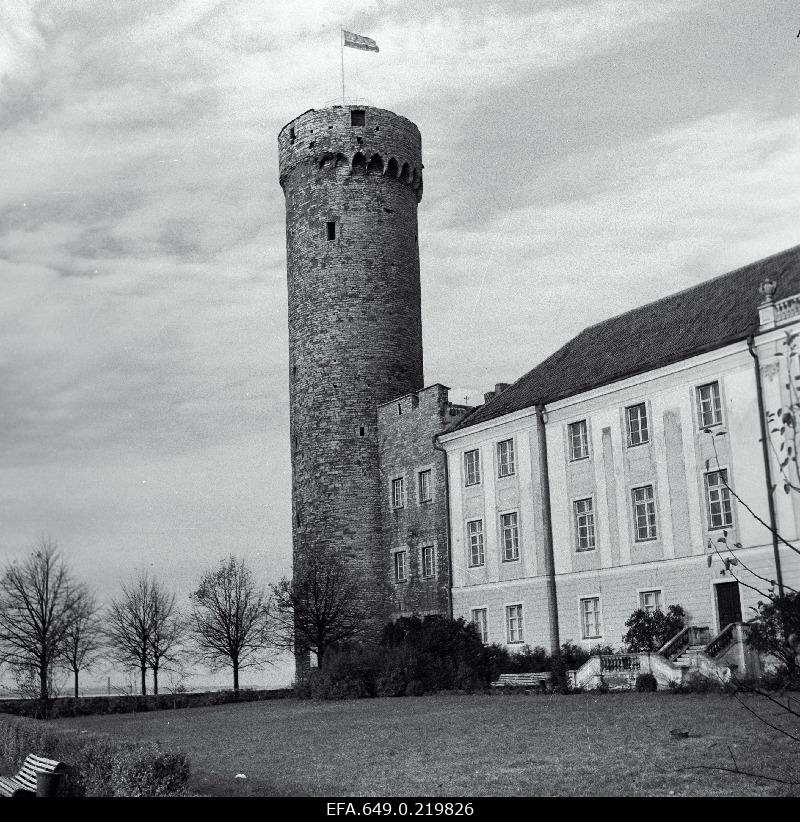 View of Pika Hermann Tower from Toompea Park.