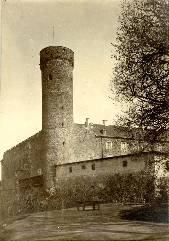 TLA 1465 1 8681 Long Hermann 1900 1915 photographer August Sakaria (Sakaria) - Pikk Hermann