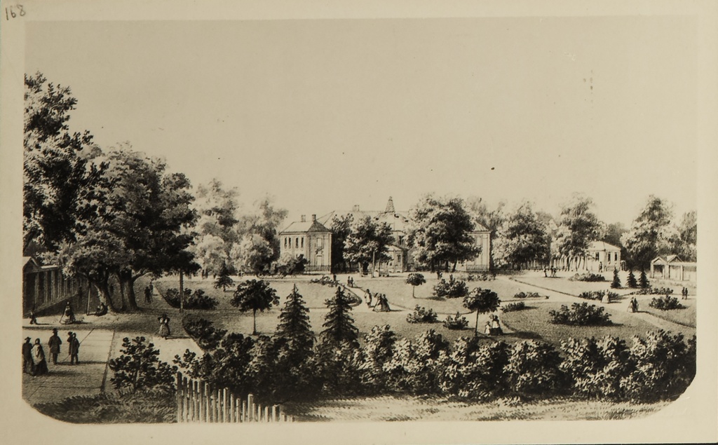 TLA 1465 1 4469 repro gravüürist - Repro gravüürist, Kadriorg