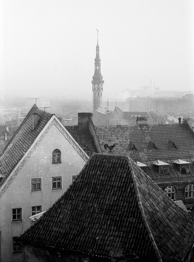 Tallinna raekoda 71