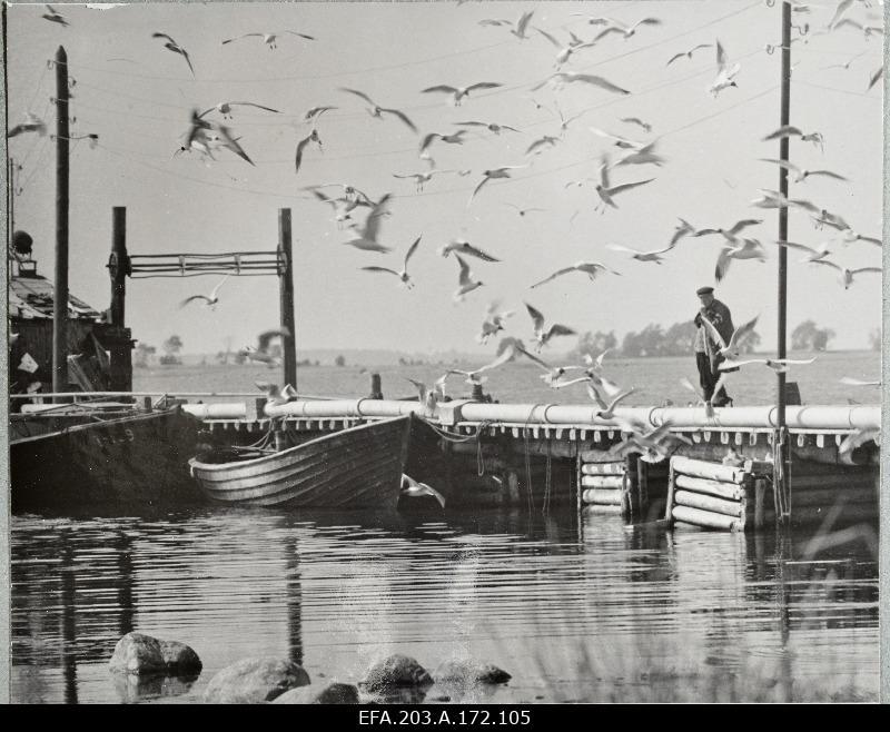 Kader Filmstudio Tallinn Films from gamefilm Writers from Sõgedate village.