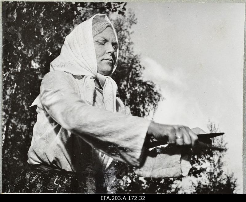 Kader Filmstudio Tallinn Films from gamefilm Writers from Sõgedate village.