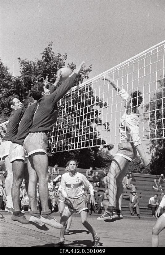 Volleyball competition (Dynamo).