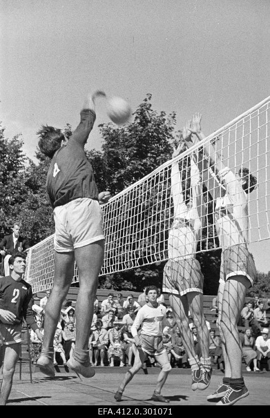 Volleyball competition (Dynamo).