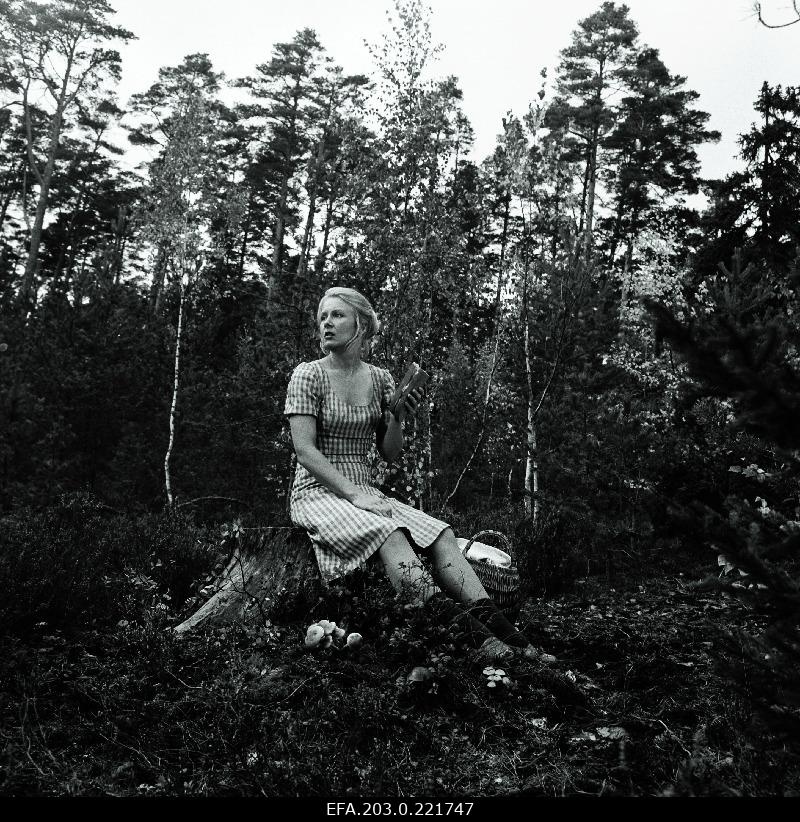 Tallinn Film game film "Small Require for Supply".