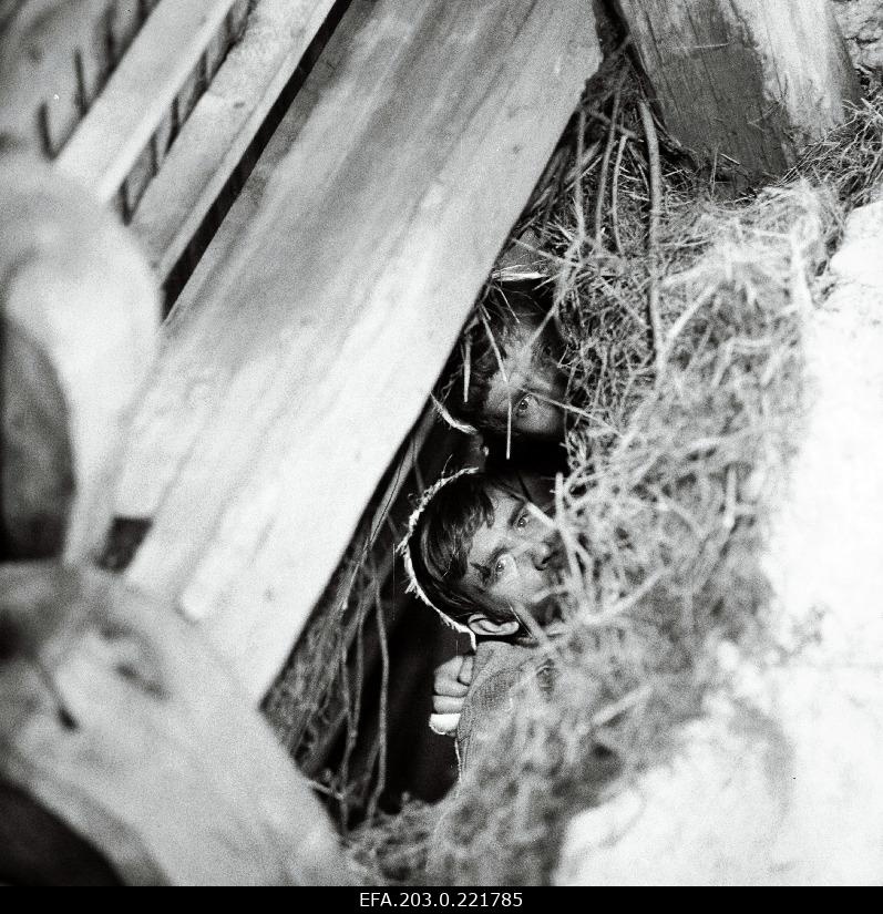 Tallinn Film game film "Small Require for Supply".