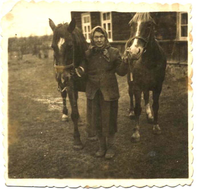 Rätsepa Liine annab hobuseid kolhoosi, 1949