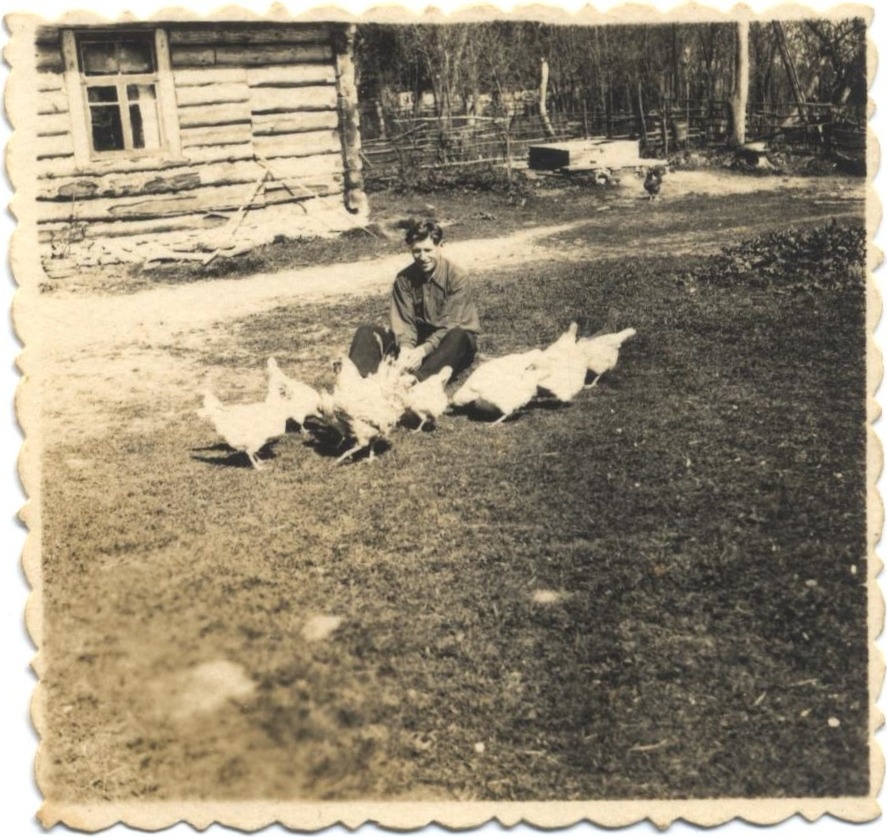 Chickens in the farmhouse