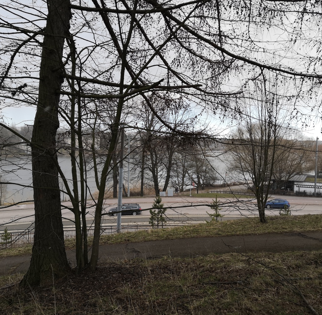 Punakaartilaisten hautoja Mäntymäellä keväällä 1918. Punaiset käyttivät aluetta kaatuneiden sankarihautausmaana. Helsingin valtauksen jälkeen vainajat siirrettiin joukkohautoihin Malmille. Timiriasew kuvasi vuonna 1918 myös sodan toisen osapuolen kaatuneitten hautoja. rephoto