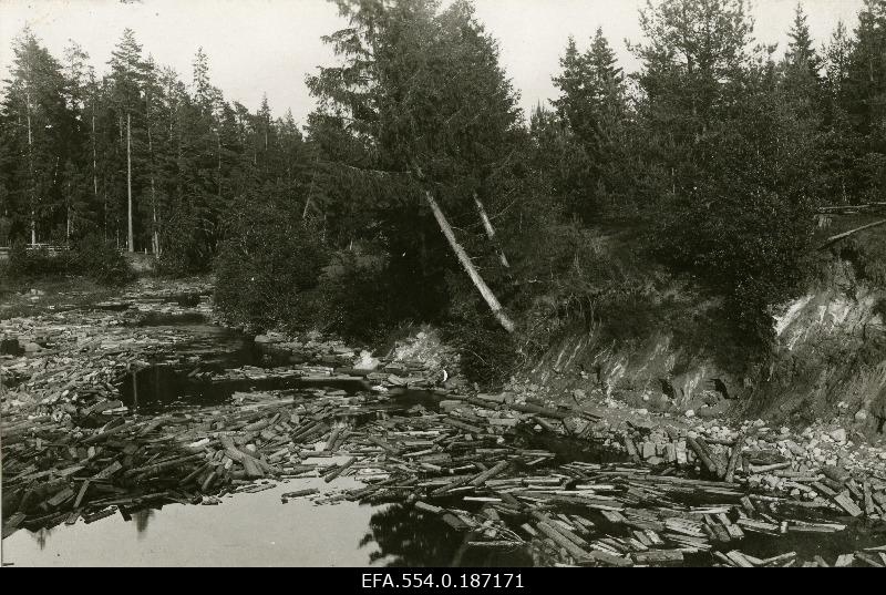 Lohusuu river near Mulgiveski.