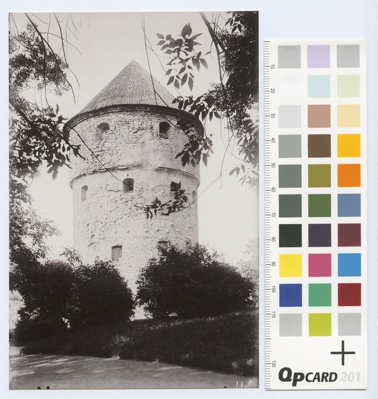 Sari Tallinn views. How much in de Kök.