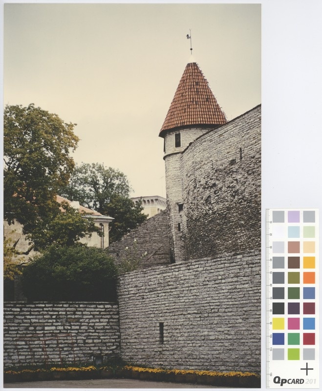 Tallinn. City wall and Talli Tower